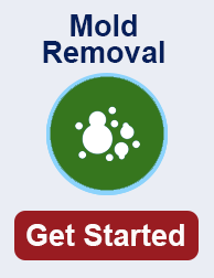 mold remediation in Victorville CA